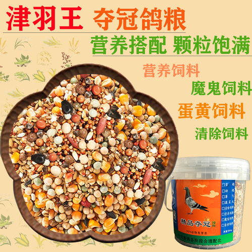 天津羽王鴿具 專注鴿糧品質(zhì)，助力賽鴿飛翔——優(yōu)選賽鴿用品與糧食