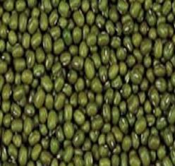 海亮糧食加盟招商 開啟重慶食品行業(yè)新藍海