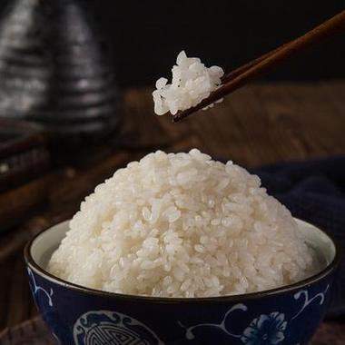 榆樹市全力推進糧食安全創新，助力農產品高質量發展