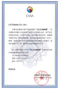 不是所有屏幕都是OLED LG電視獲中國電子視像行業協會認證解析